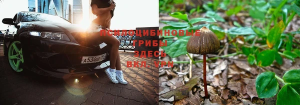 каннабис Медвежьегорск