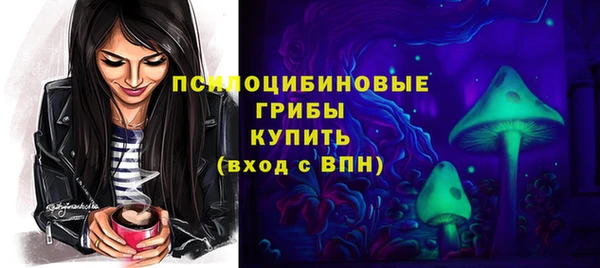 герыч Медногорск